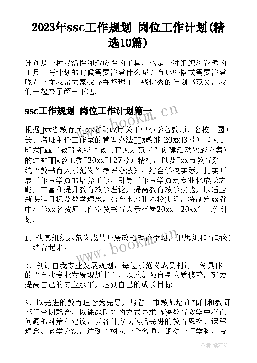 2023年ssc工作规划 岗位工作计划(精选10篇)