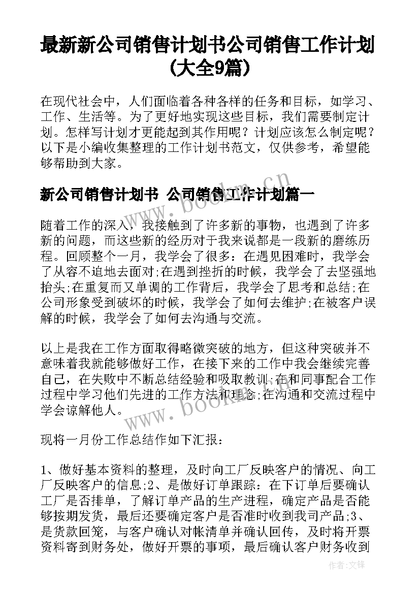 最新新公司销售计划书 公司销售工作计划(大全9篇)