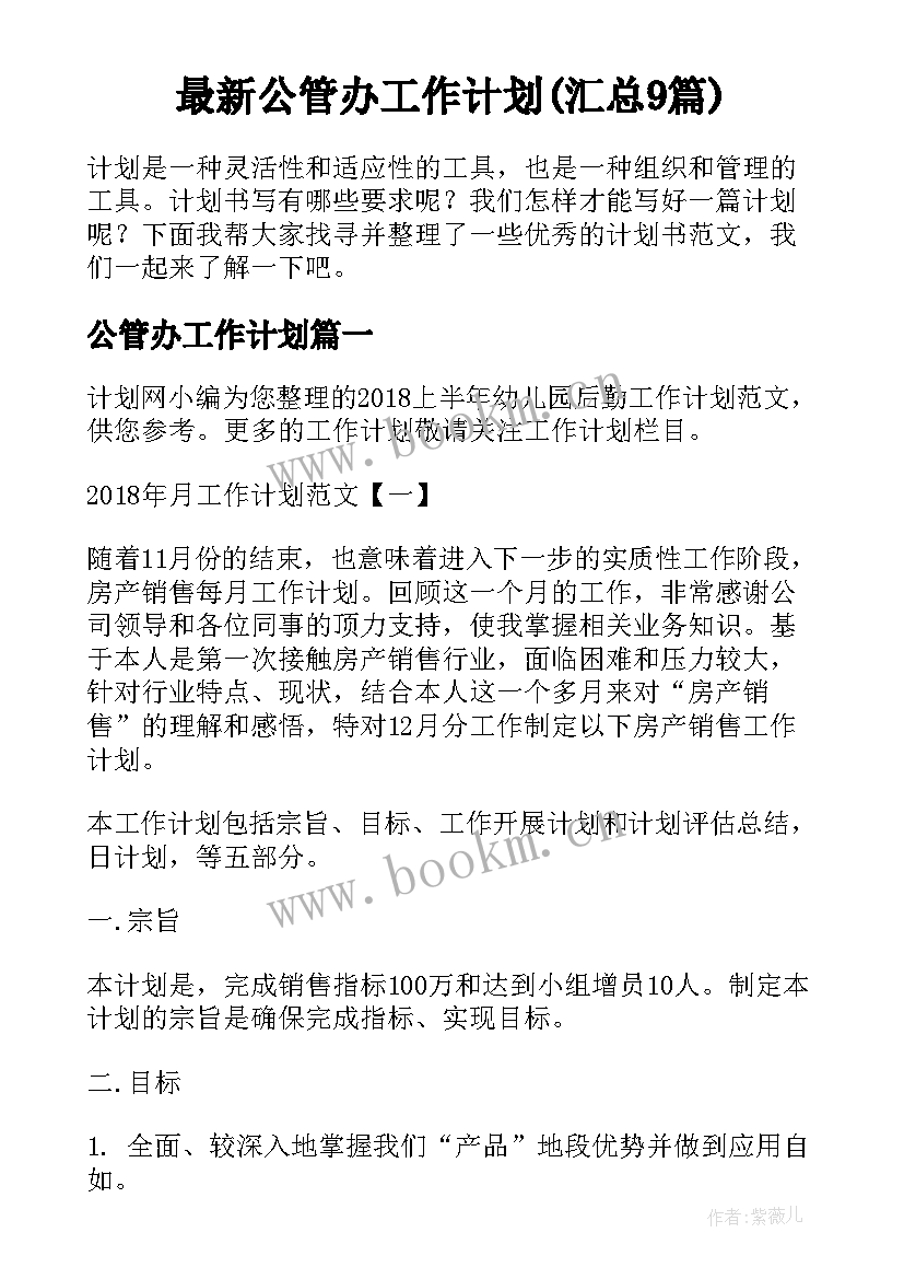 最新公管办工作计划(汇总9篇)