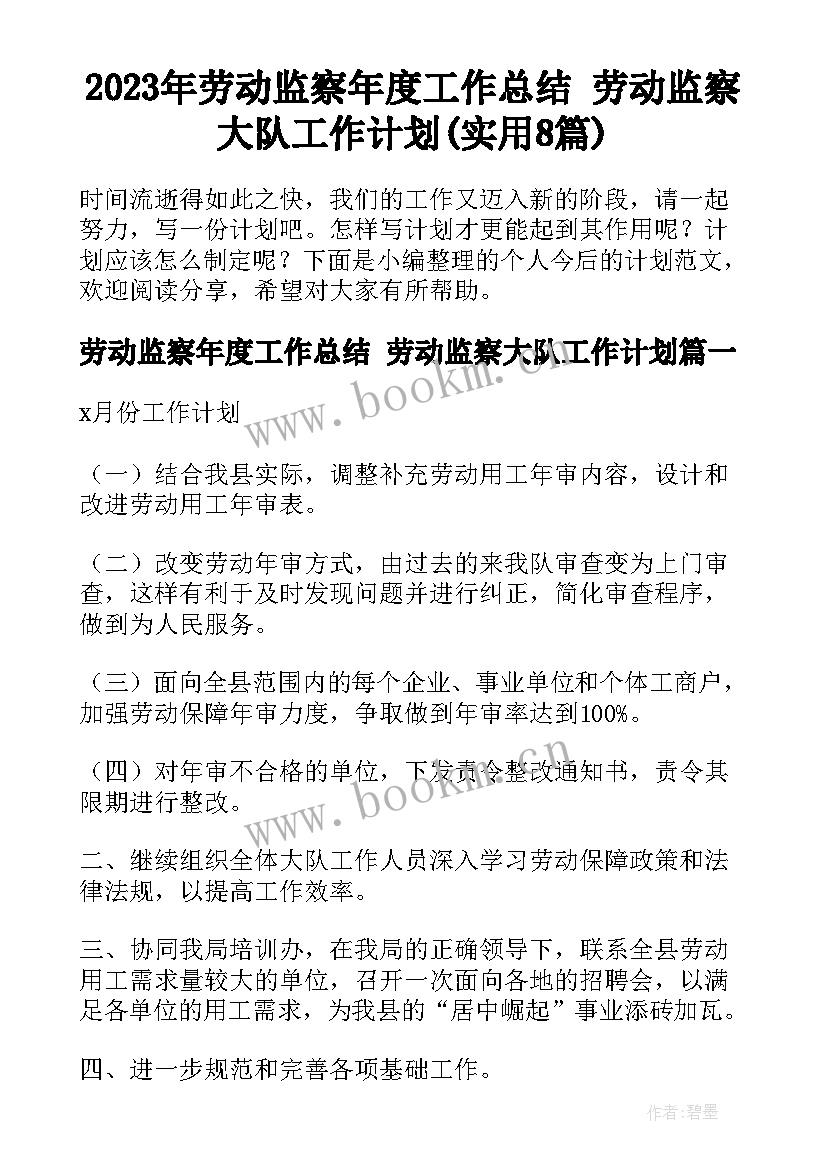 2023年劳动监察年度工作总结 劳动监察大队工作计划(实用8篇)