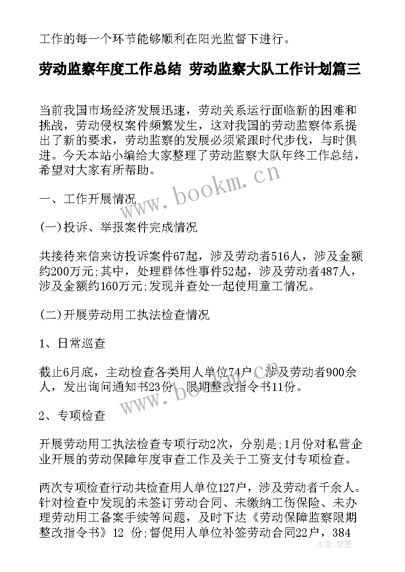 2023年劳动监察年度工作总结 劳动监察大队工作计划(实用8篇)