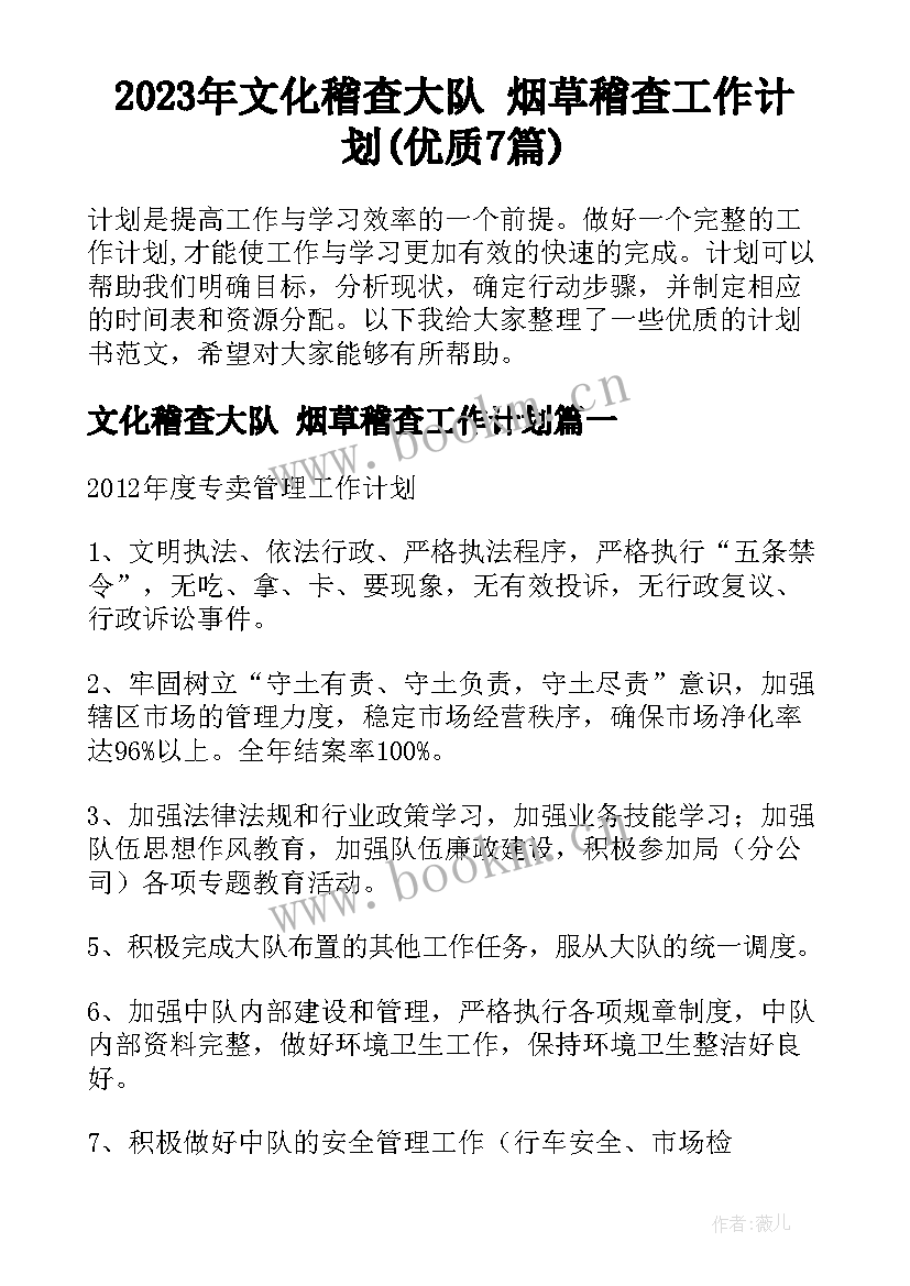 2023年文化稽查大队 烟草稽查工作计划(优质7篇)