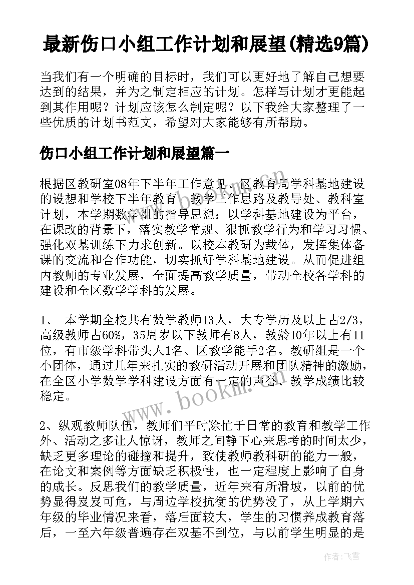 最新伤口小组工作计划和展望(精选9篇)