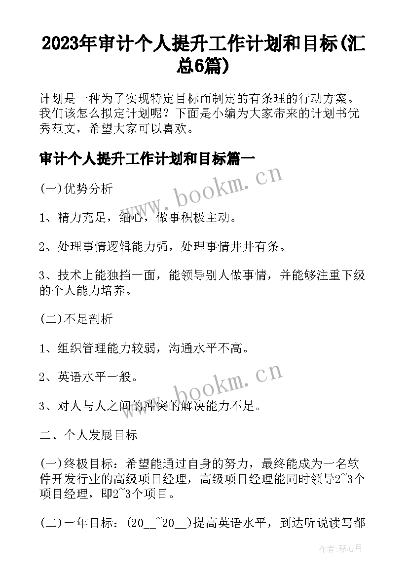 2023年审计个人提升工作计划和目标(汇总6篇)