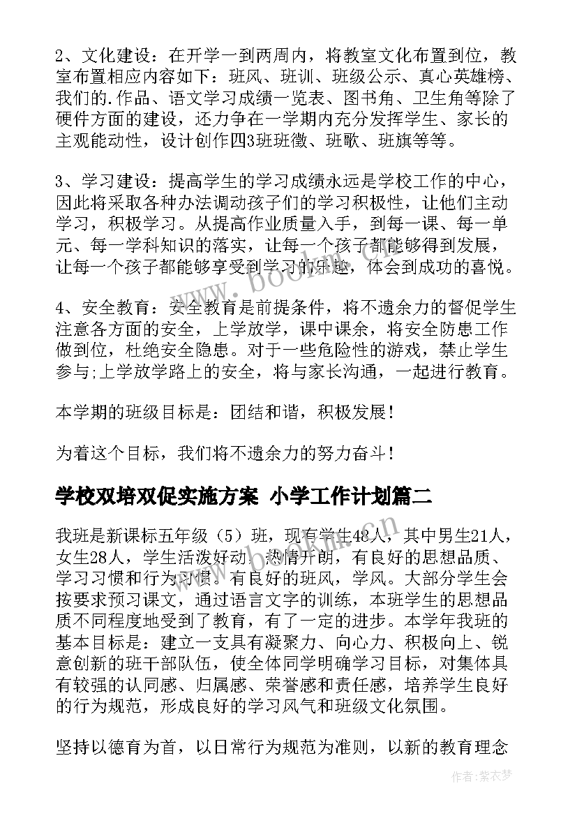 学校双培双促实施方案 小学工作计划(汇总7篇)