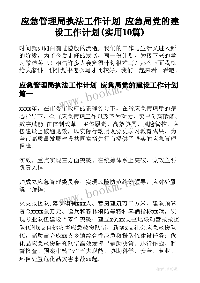 应急管理局执法工作计划 应急局党的建设工作计划(实用10篇)