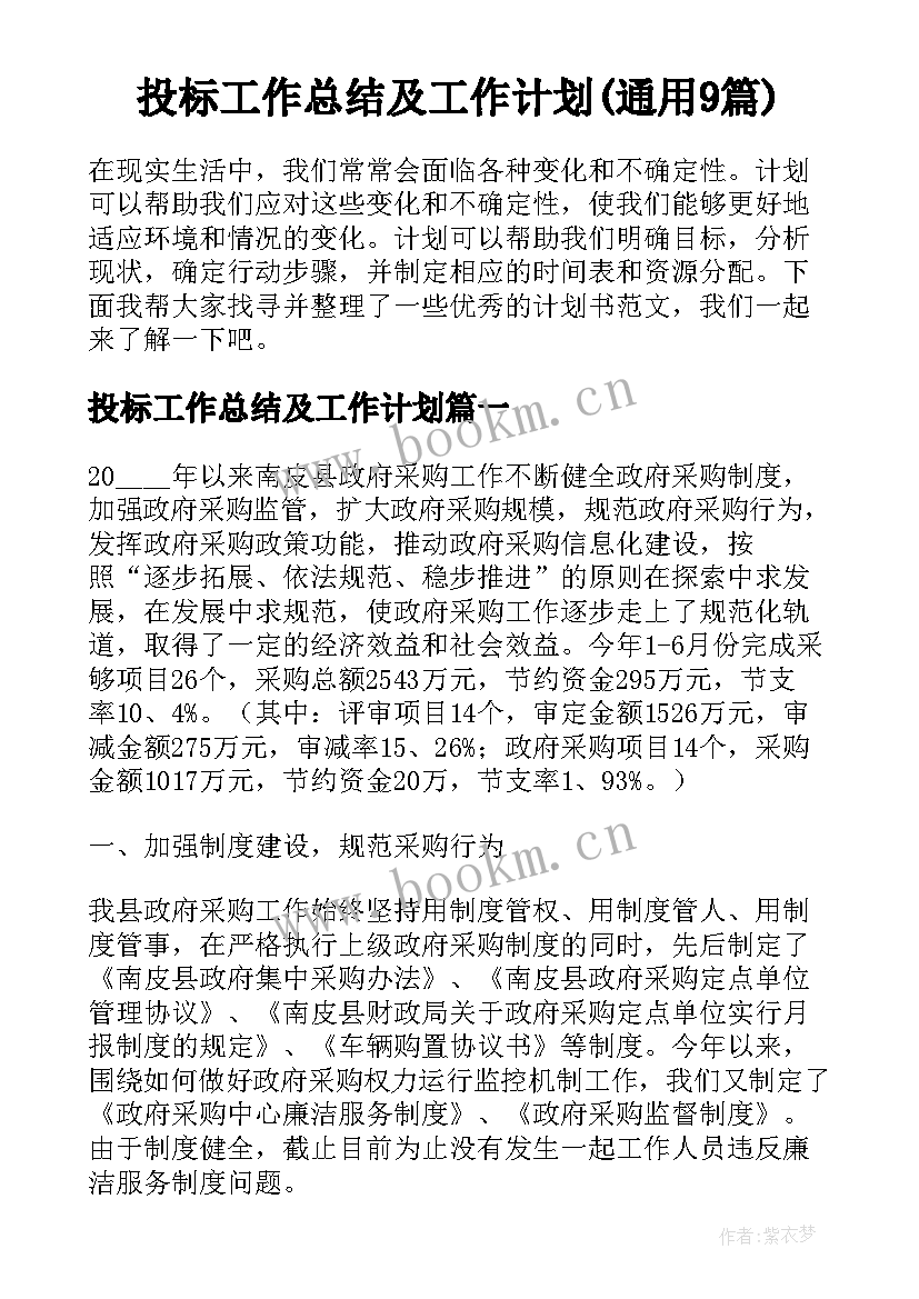 投标工作总结及工作计划(通用9篇)