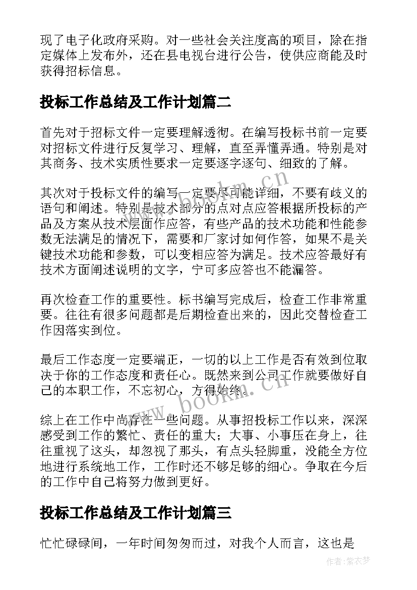 投标工作总结及工作计划(通用9篇)