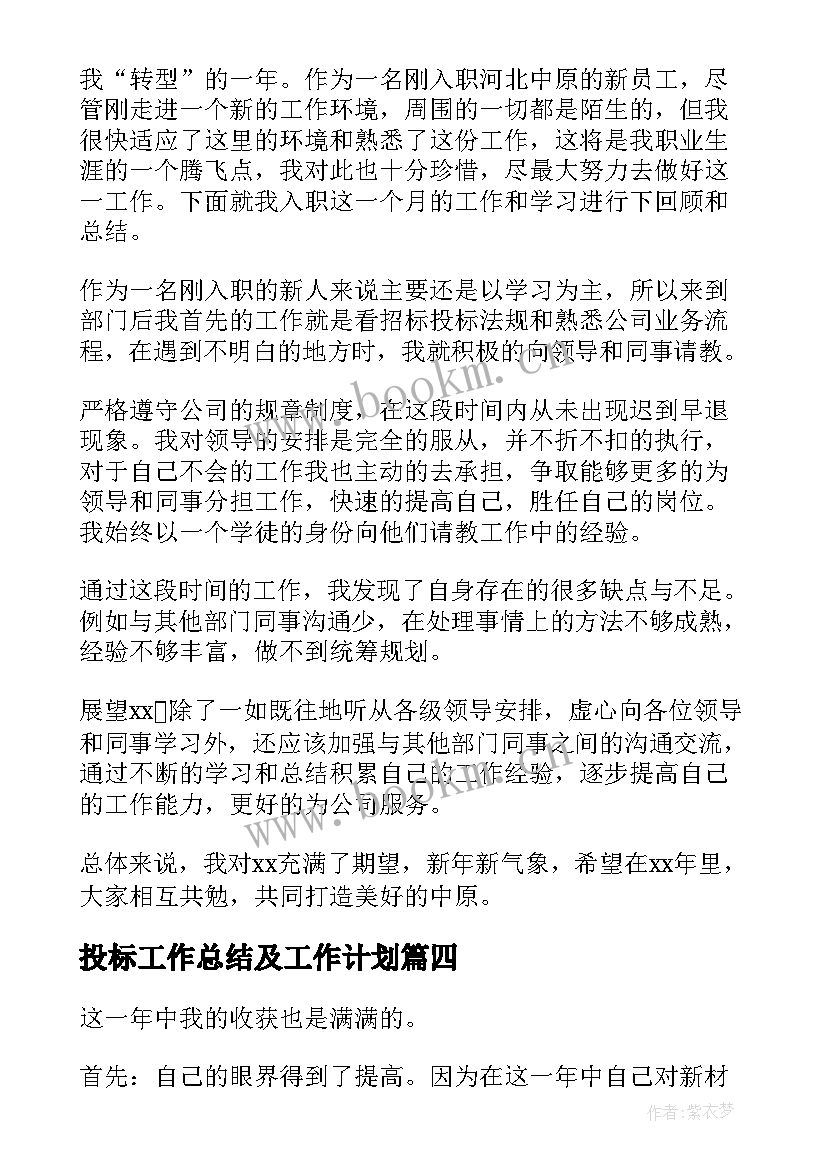 投标工作总结及工作计划(通用9篇)