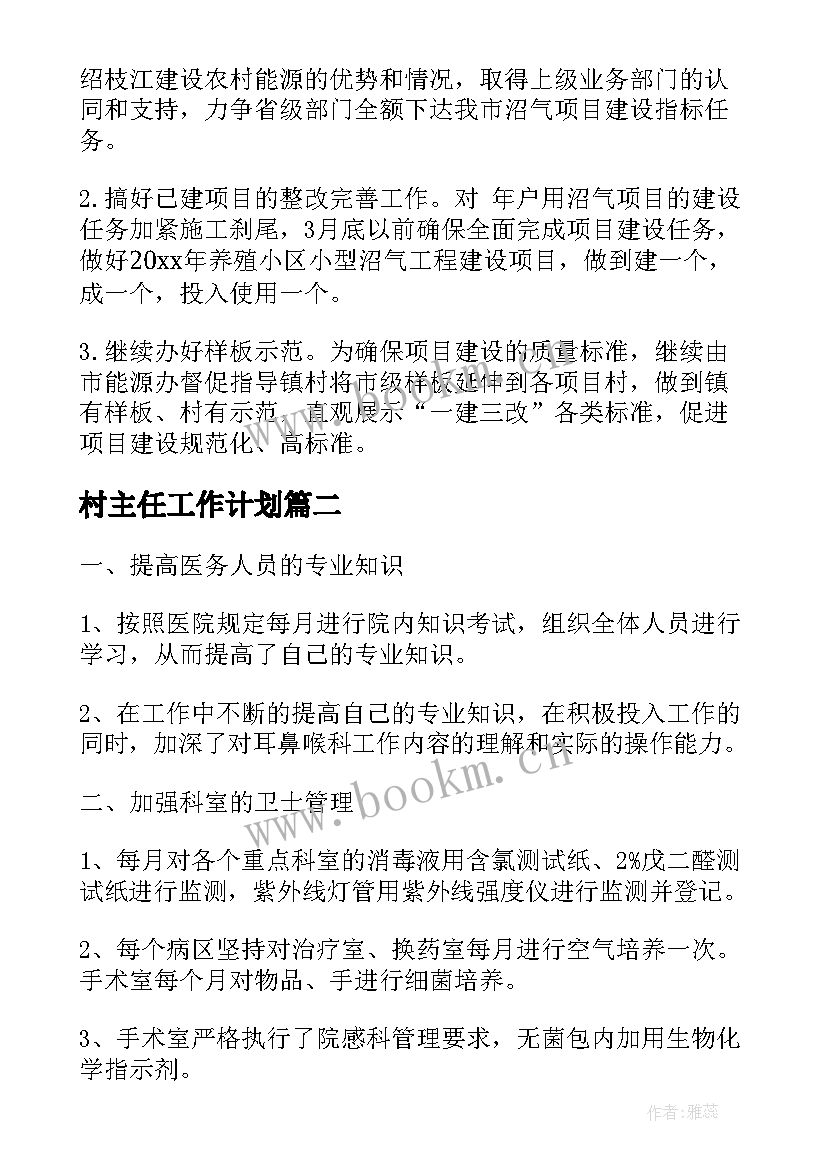 2023年村主任工作计划(汇总10篇)