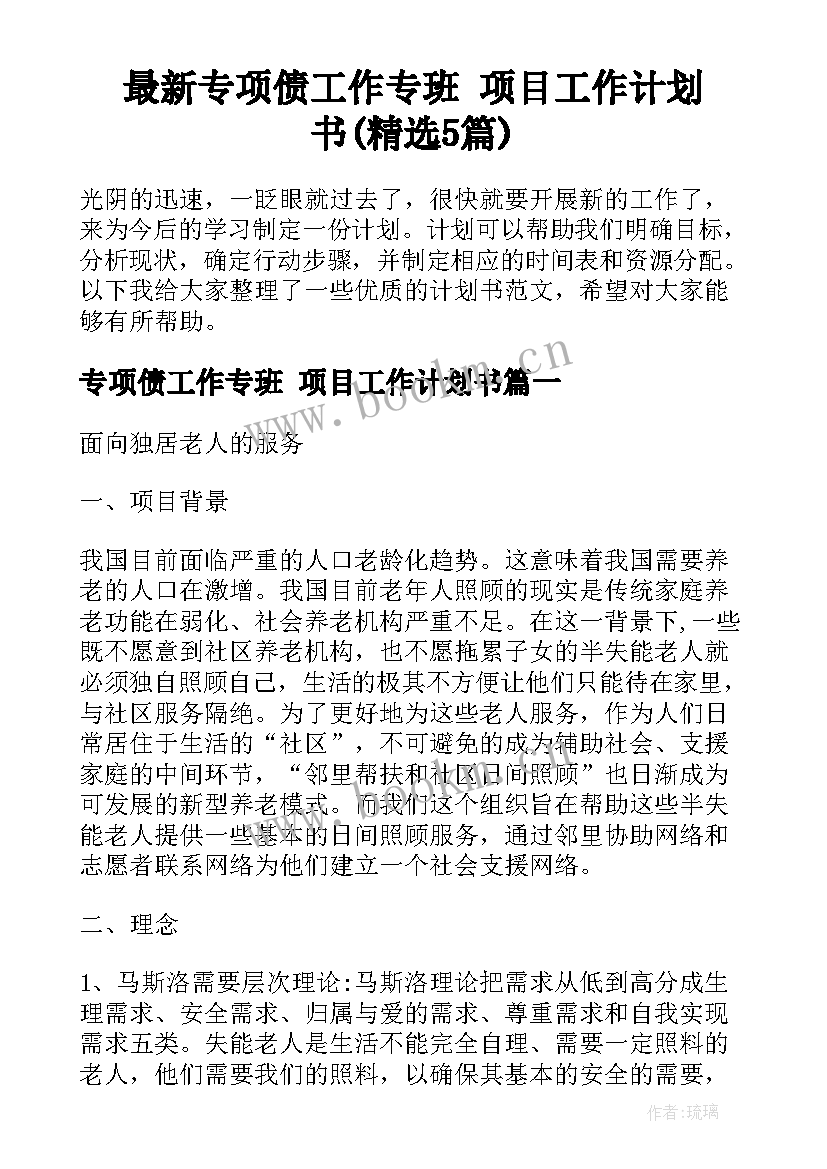 最新专项债工作专班 项目工作计划书(精选5篇)