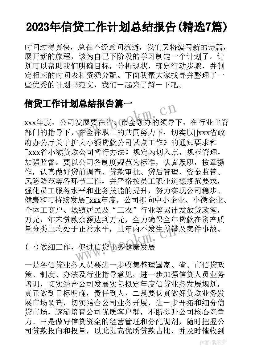 2023年信贷工作计划总结报告(精选7篇)