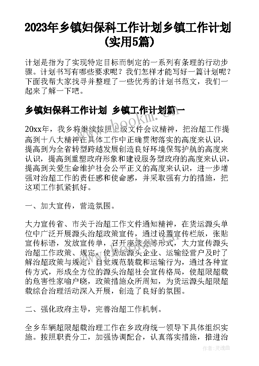 2023年乡镇妇保科工作计划 乡镇工作计划(实用5篇)