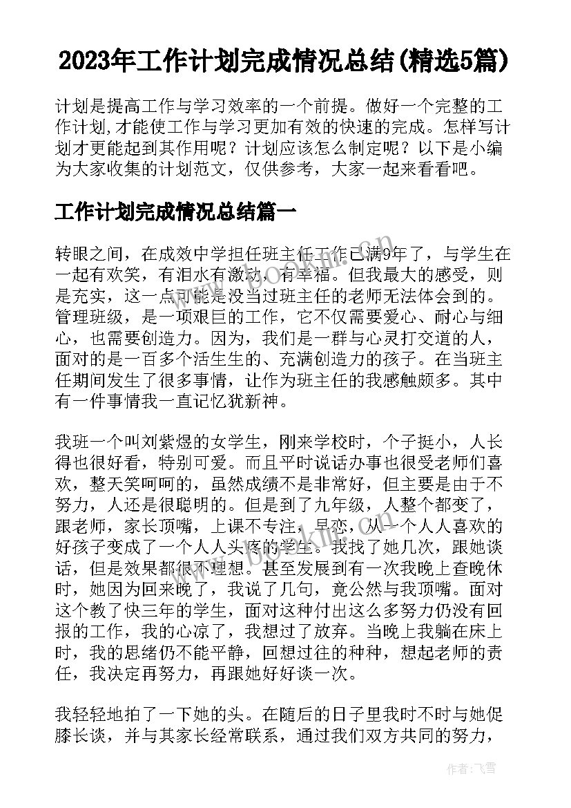 2023年工作计划完成情况总结(精选5篇)