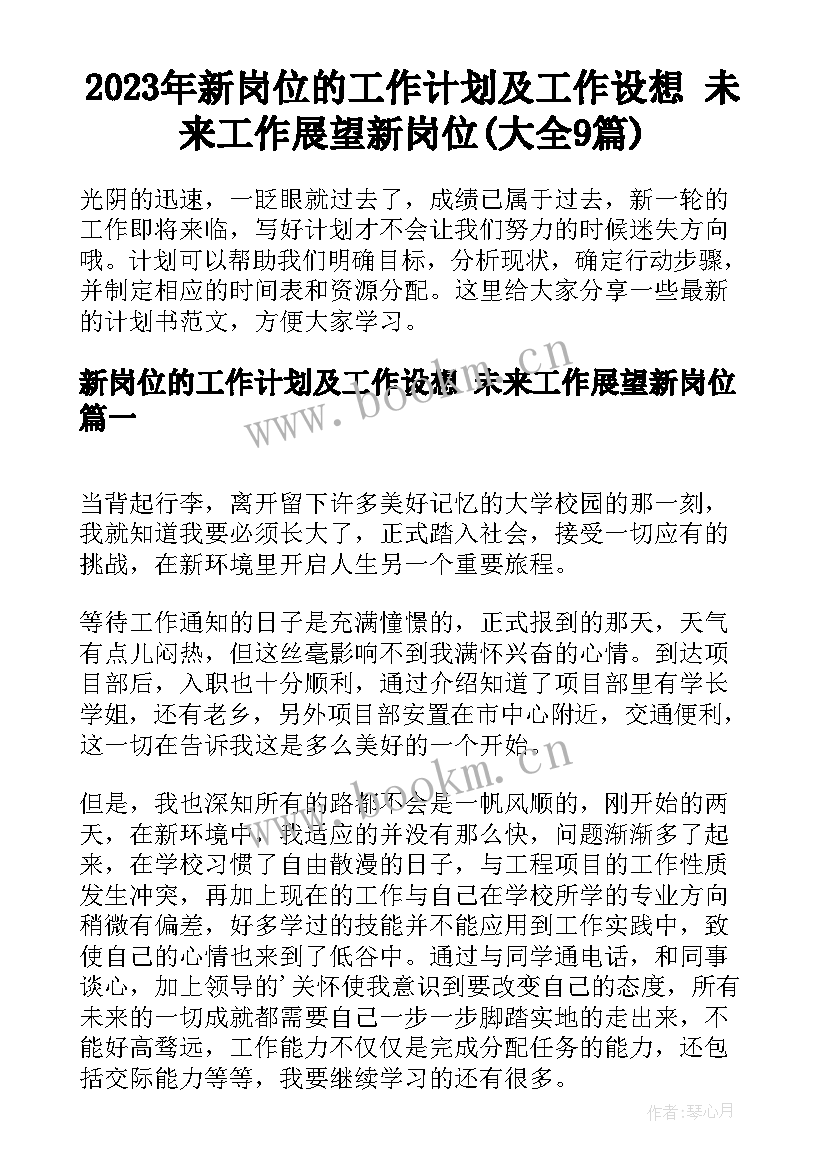 2023年新岗位的工作计划及工作设想 未来工作展望新岗位(大全9篇)