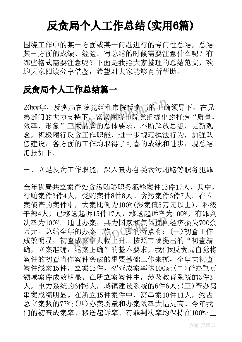 反贪局个人工作总结(实用6篇)