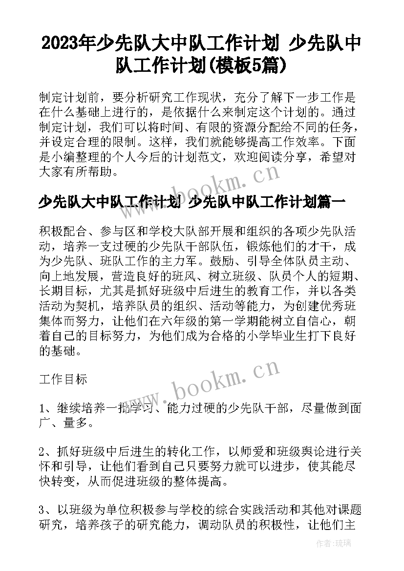 2023年少先队大中队工作计划 少先队中队工作计划(模板5篇)