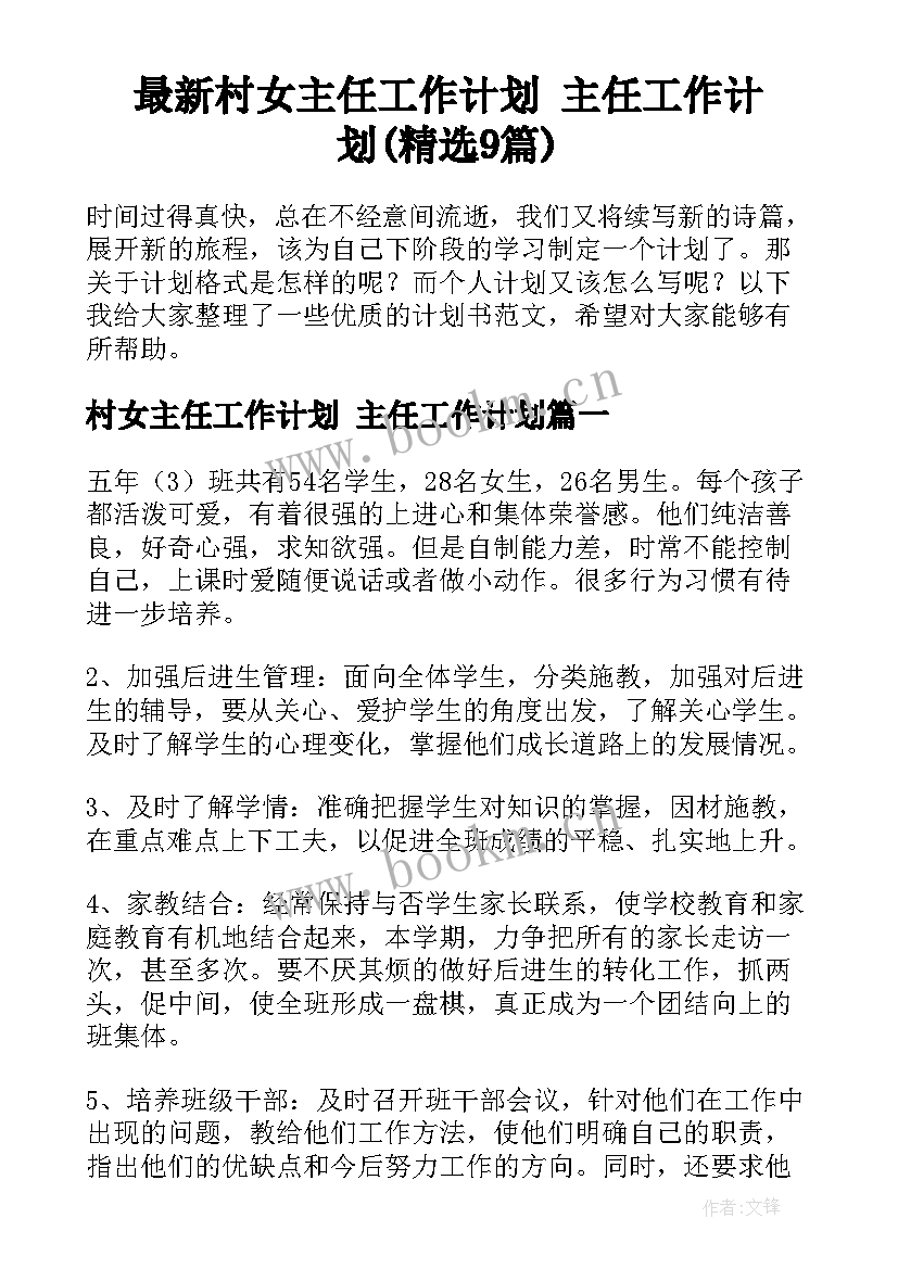 最新村女主任工作计划 主任工作计划(精选9篇)