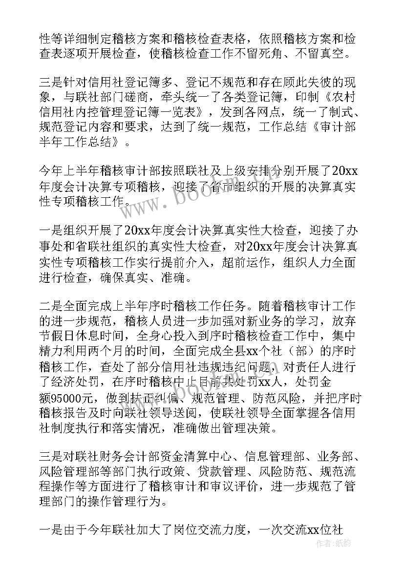 最新审计督查工作计划(模板7篇)