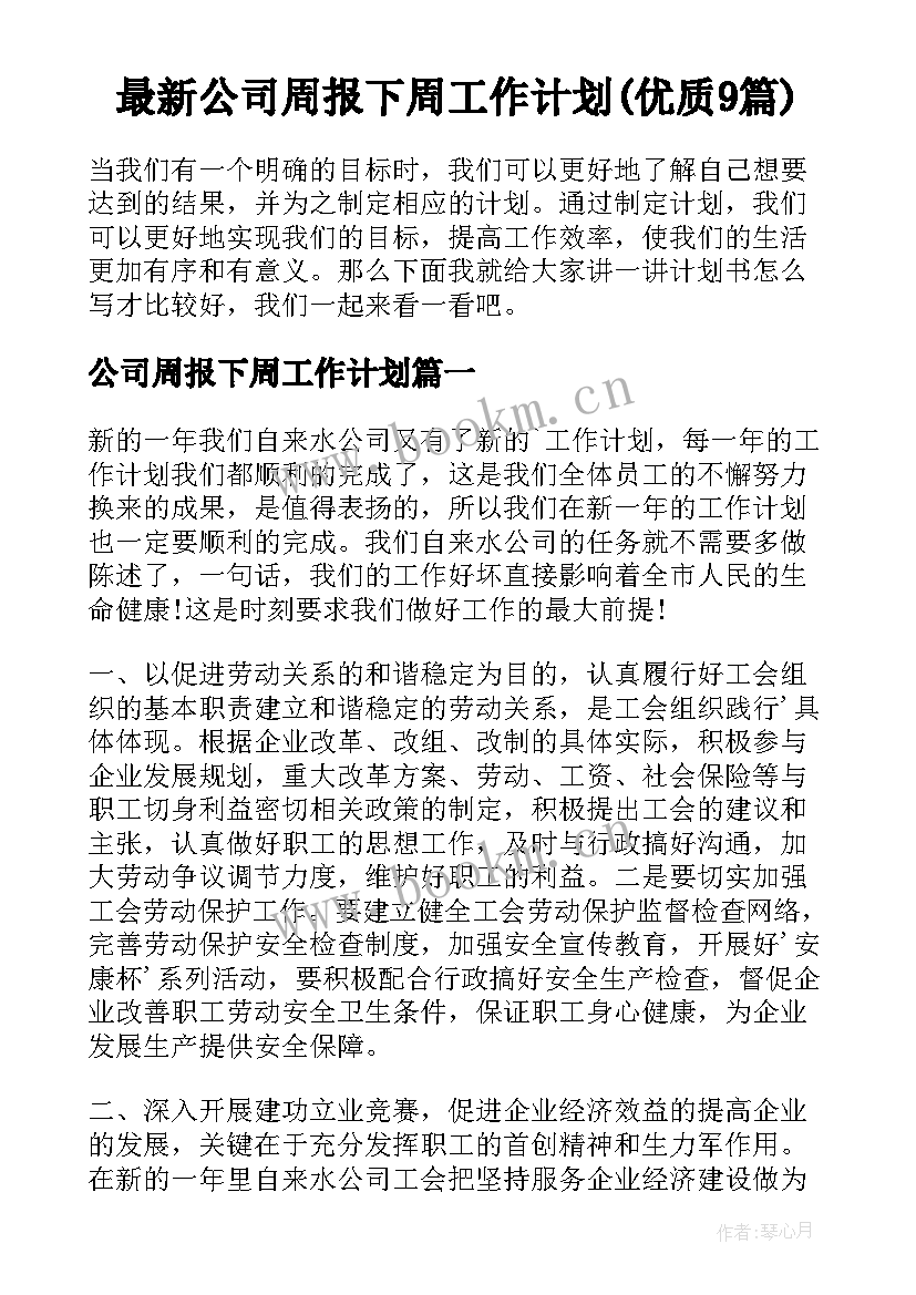 最新公司周报下周工作计划(优质9篇)