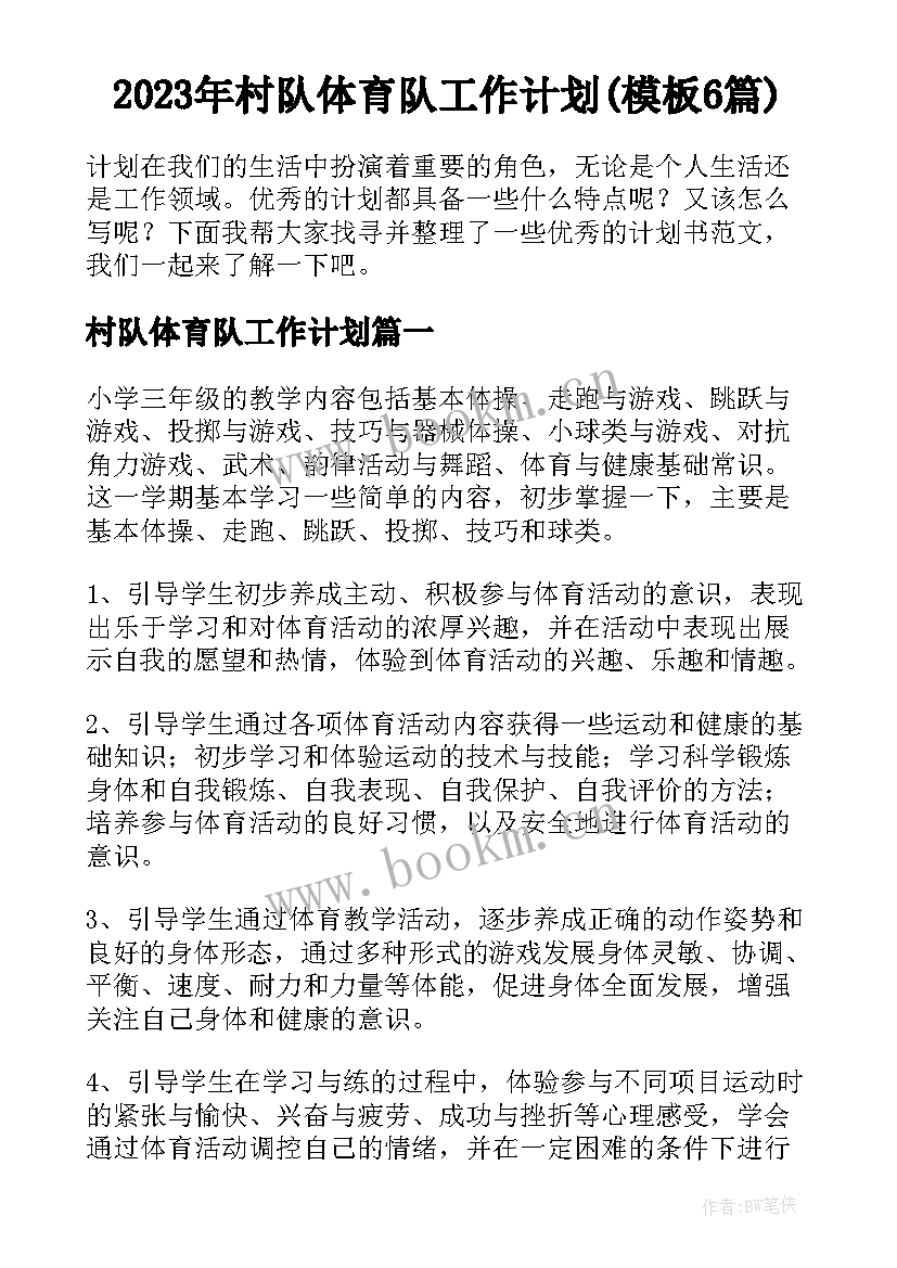 2023年村队体育队工作计划(模板6篇)