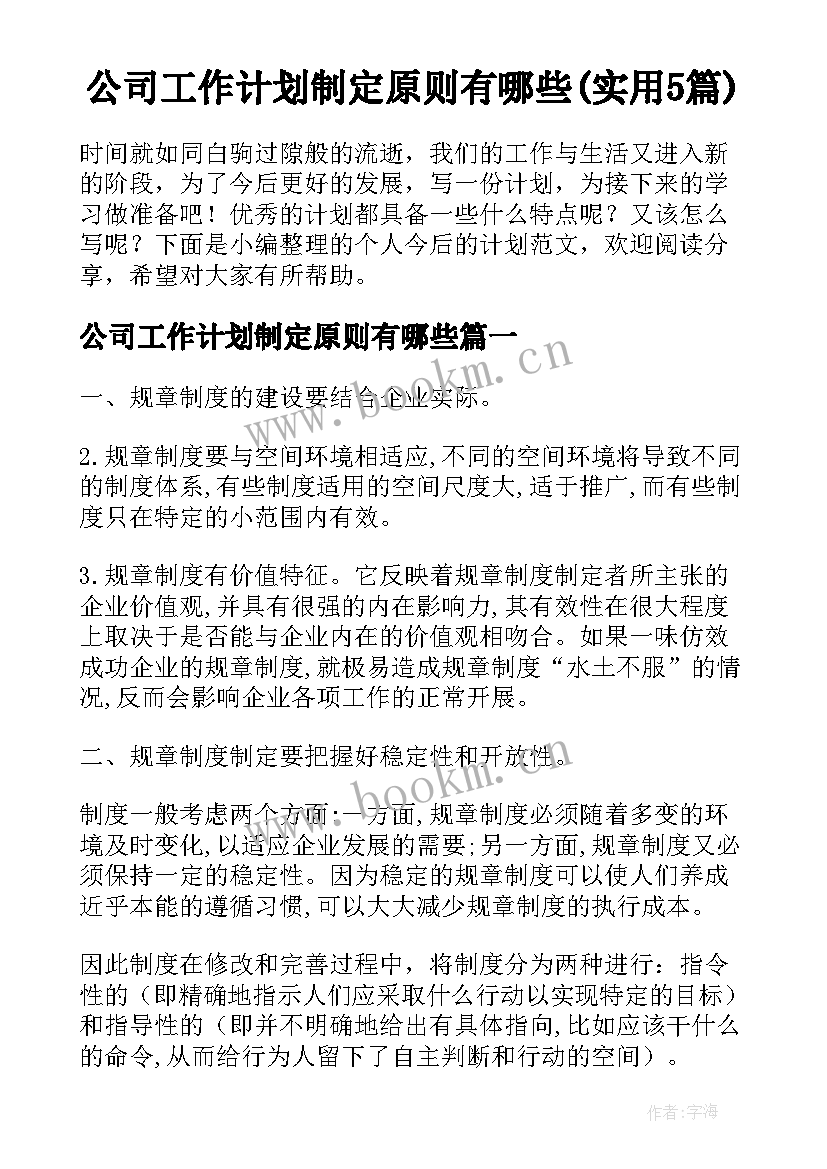 公司工作计划制定原则有哪些(实用5篇)