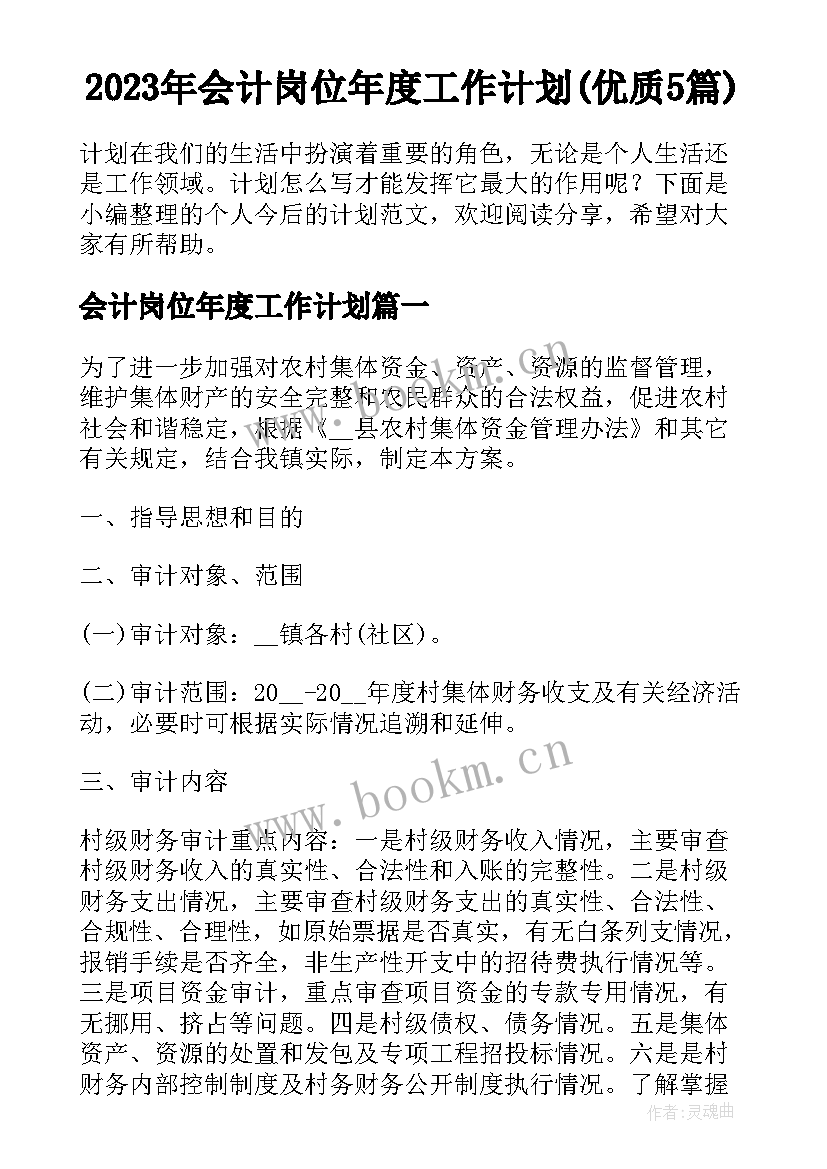 2023年会计岗位年度工作计划(优质5篇)