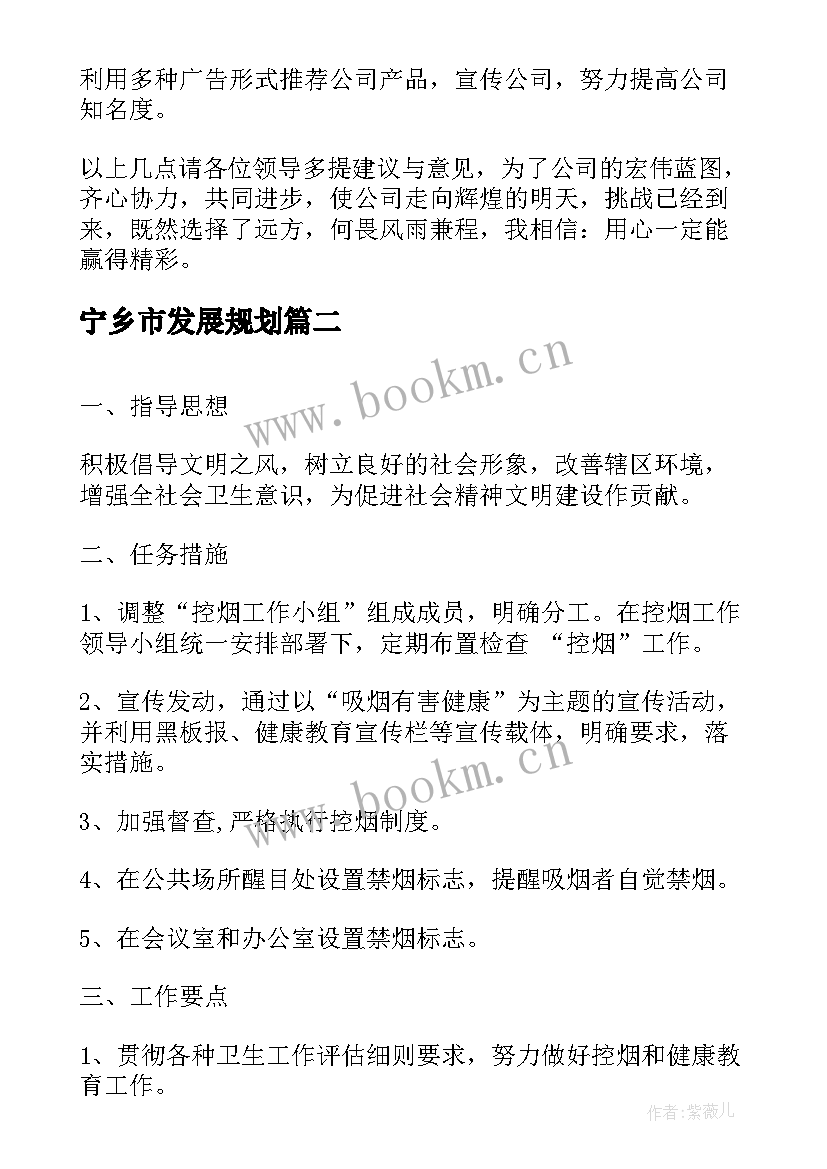 最新宁乡市发展规划(模板8篇)