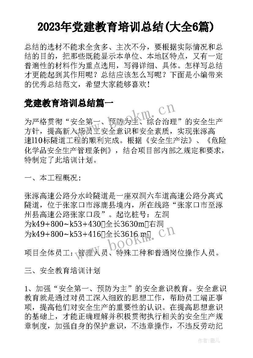 2023年党建教育培训总结(大全6篇)