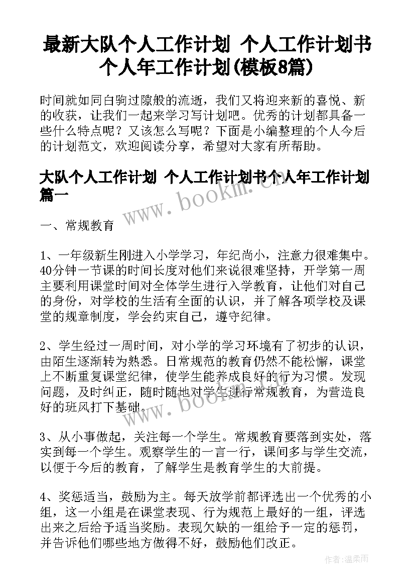 最新大队个人工作计划 个人工作计划书个人年工作计划(模板8篇)