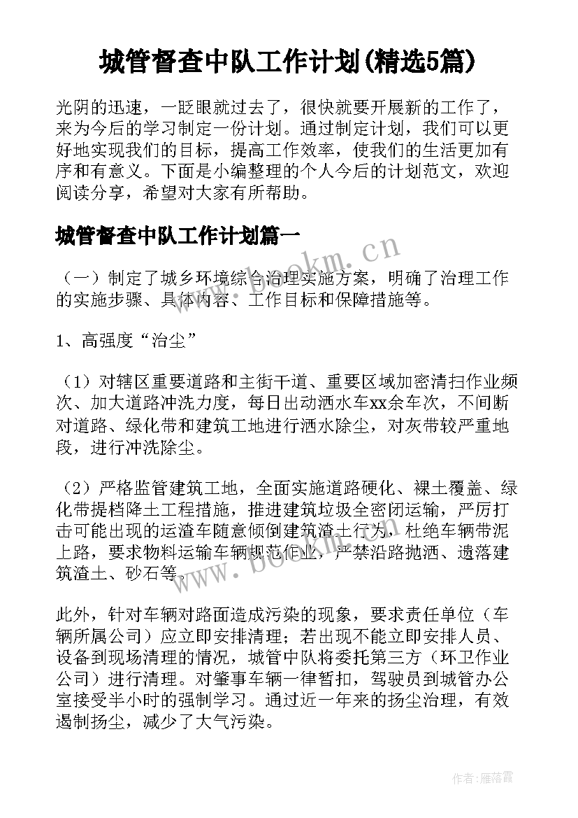 城管督查中队工作计划(精选5篇)