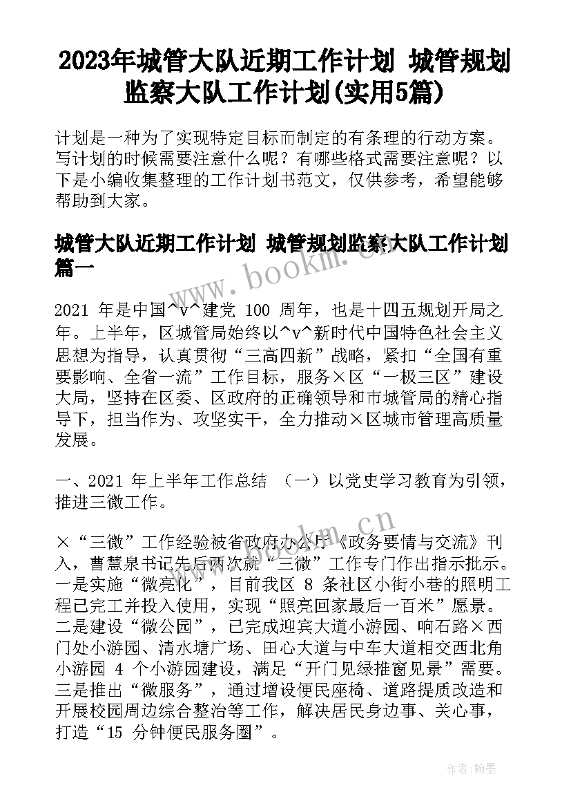 2023年城管大队近期工作计划 城管规划监察大队工作计划(实用5篇)