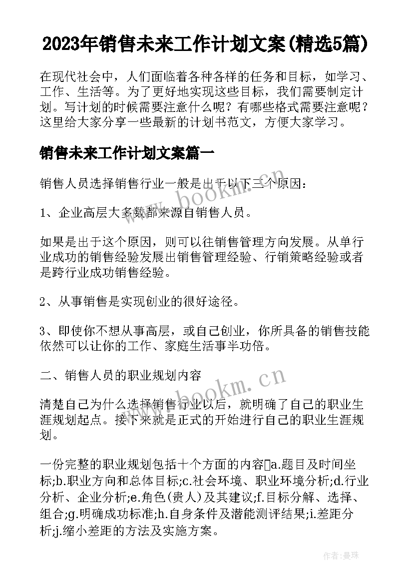 2023年销售未来工作计划文案(精选5篇)