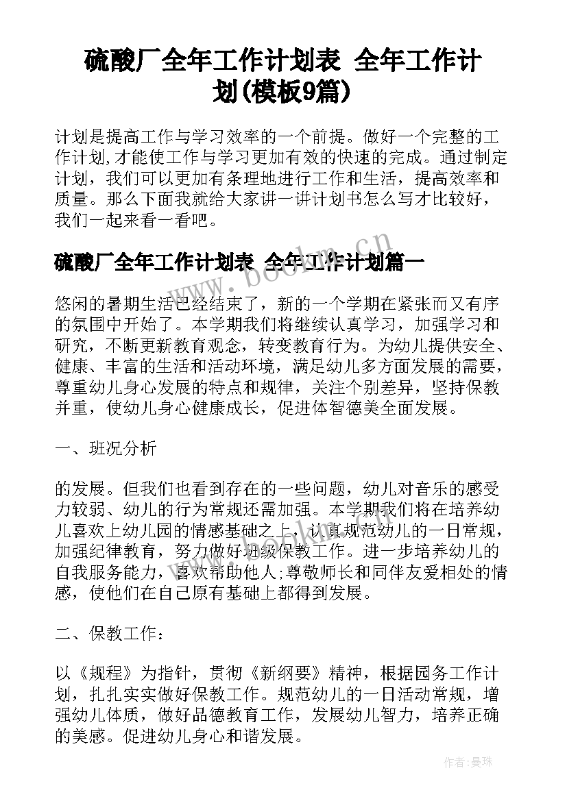 硫酸厂全年工作计划表 全年工作计划(模板9篇)