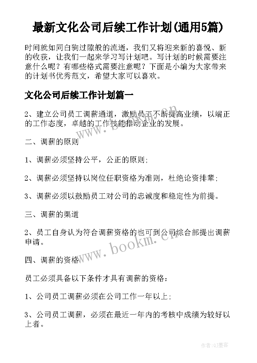 最新文化公司后续工作计划(通用5篇)