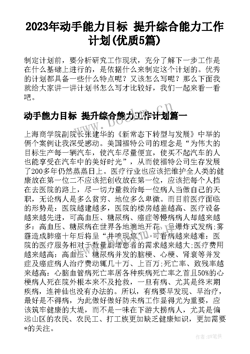 2023年动手能力目标 提升综合能力工作计划(优质5篇)