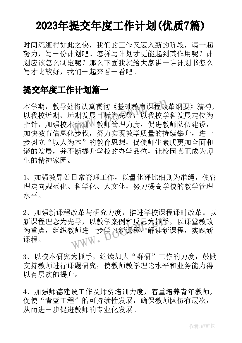 2023年提交年度工作计划(优质7篇)