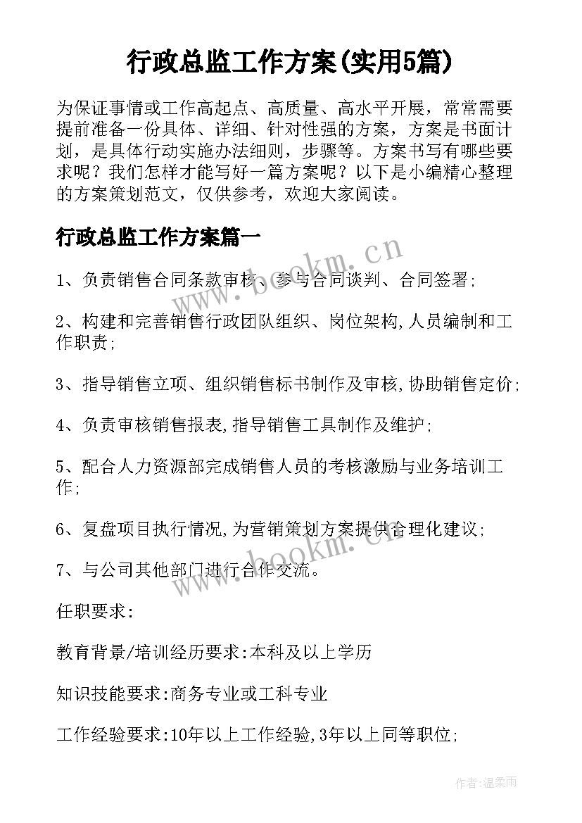 行政总监工作方案(实用5篇)