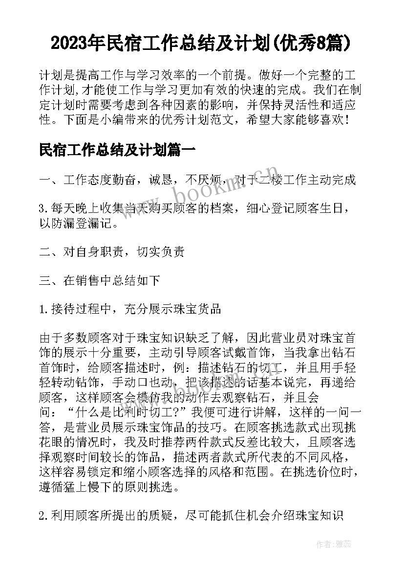 2023年民宿工作总结及计划(优秀8篇)