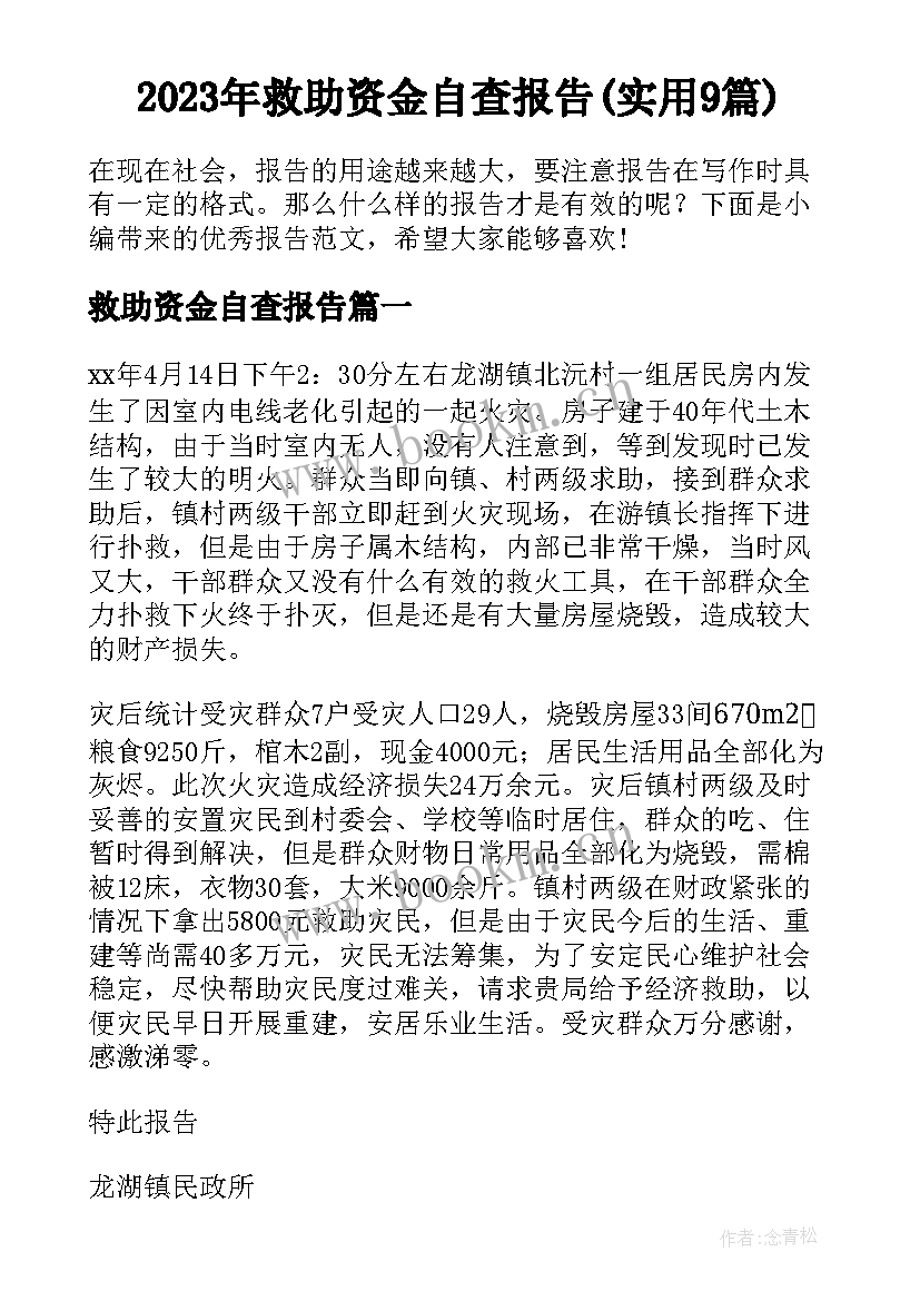 2023年救助资金自查报告(实用9篇)