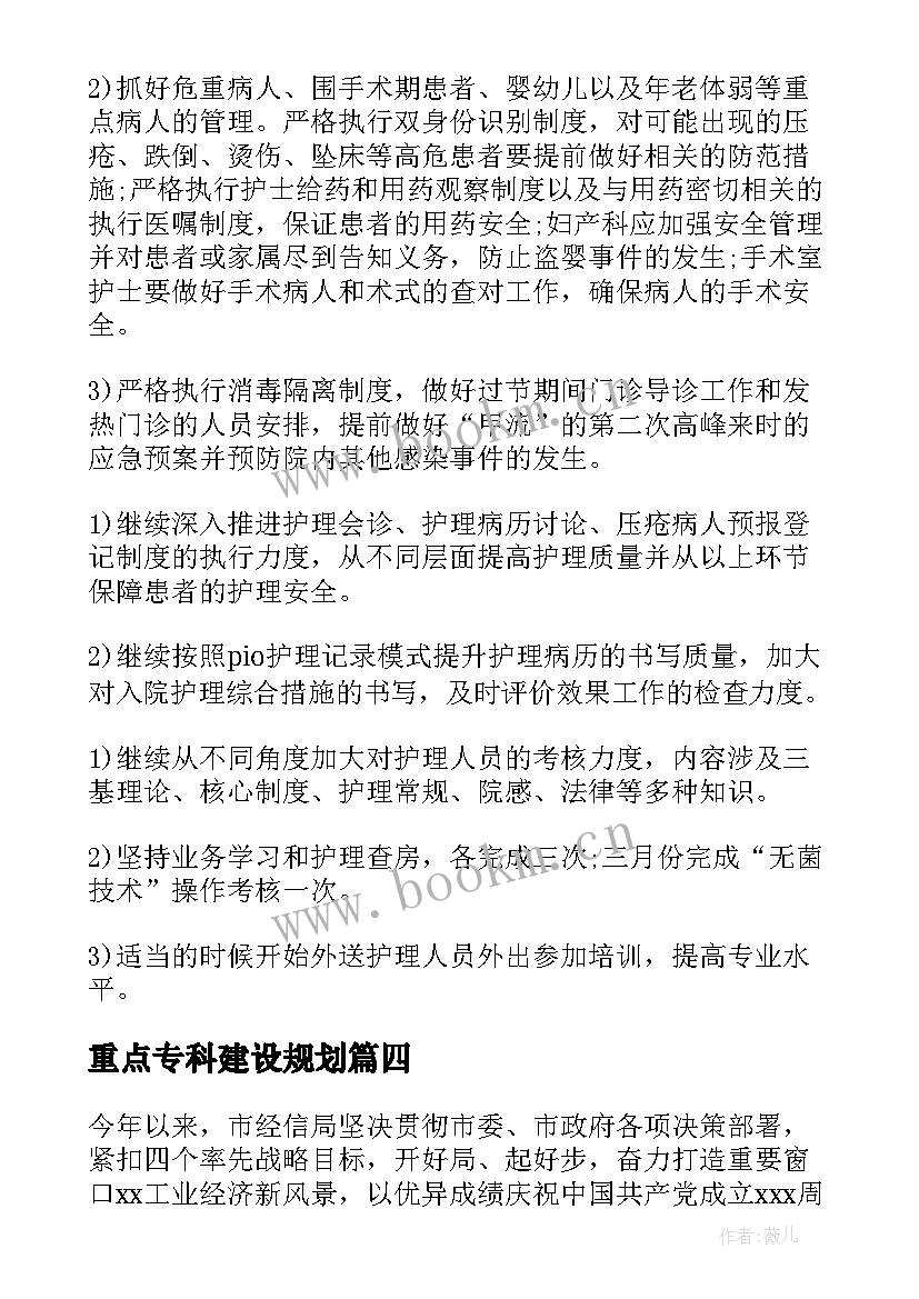 2023年重点专科建设规划(优质5篇)