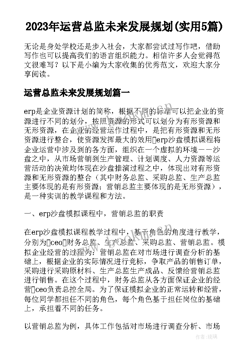 2023年运营总监未来发展规划(实用5篇)