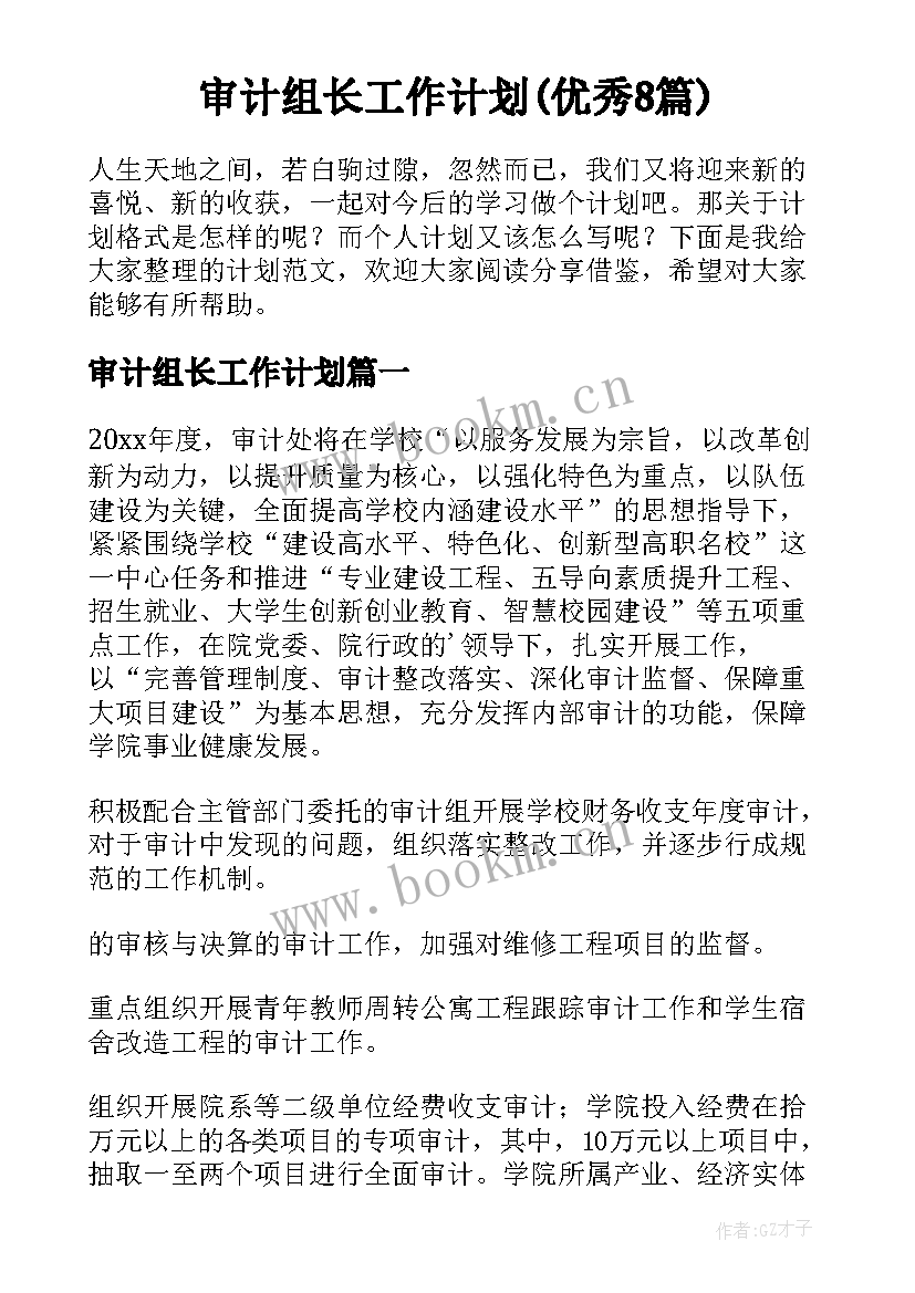 审计组长工作计划(优秀8篇)