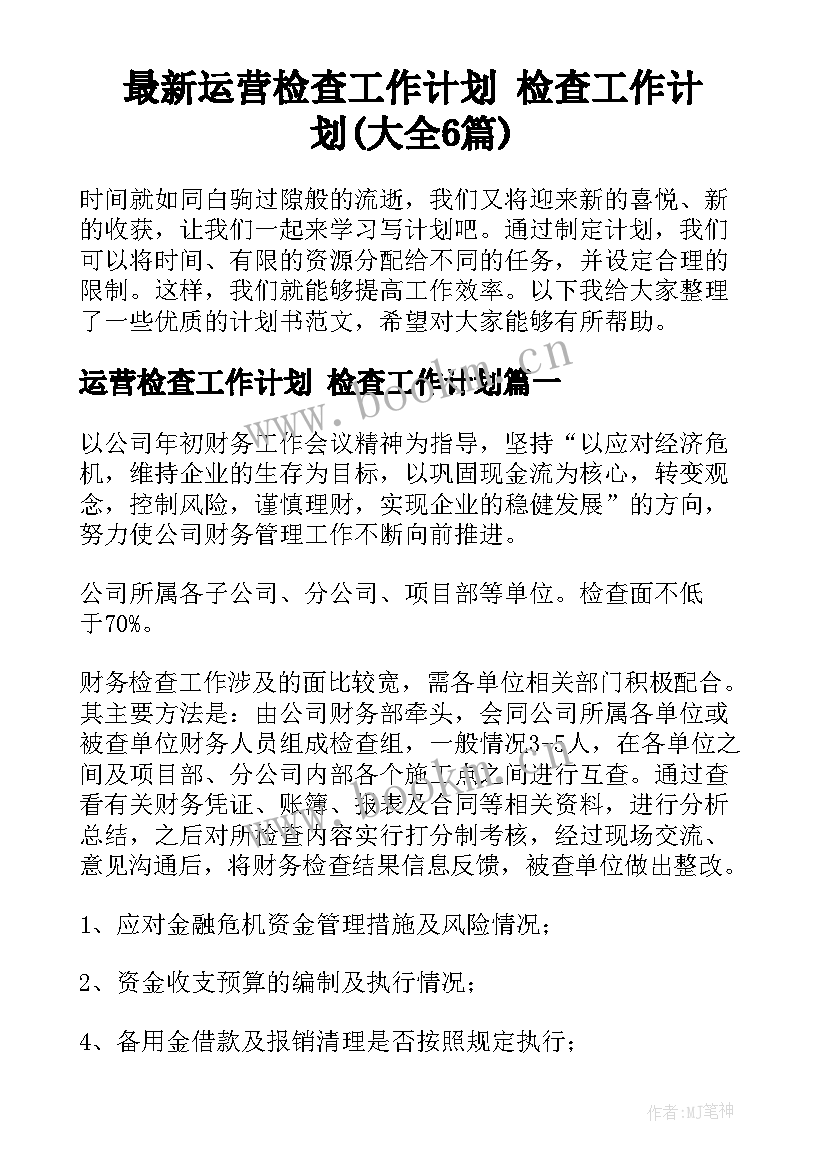 最新运营检查工作计划 检查工作计划(大全6篇)