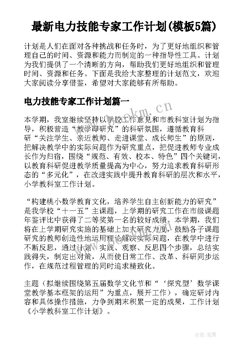 最新电力技能专家工作计划(模板5篇)