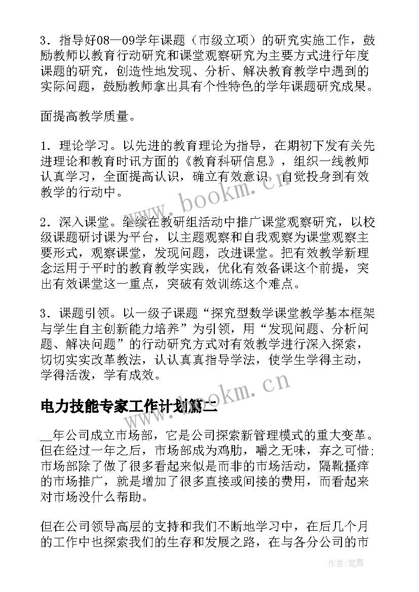 最新电力技能专家工作计划(模板5篇)