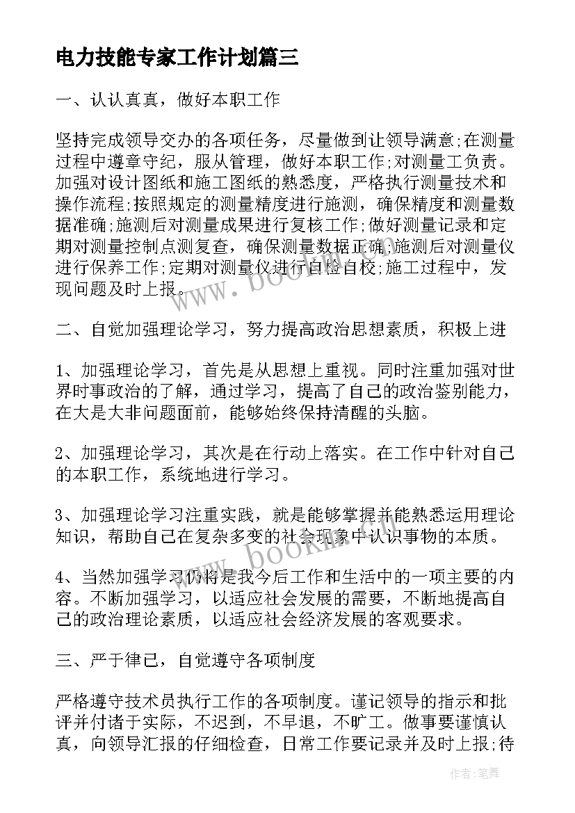 最新电力技能专家工作计划(模板5篇)