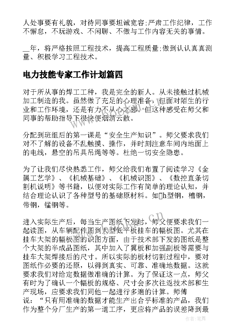 最新电力技能专家工作计划(模板5篇)