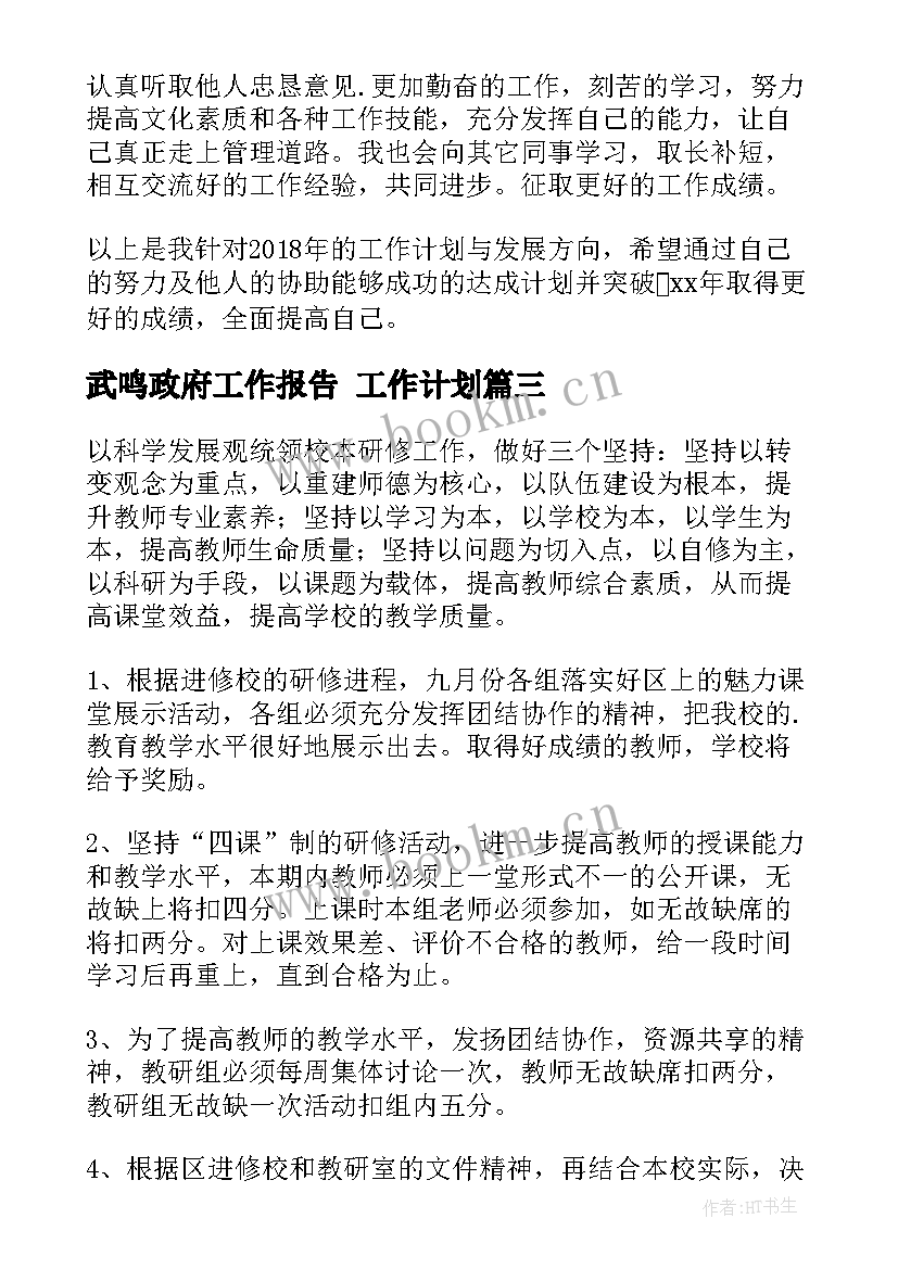 2023年武鸣政府工作报告 工作计划(精选5篇)