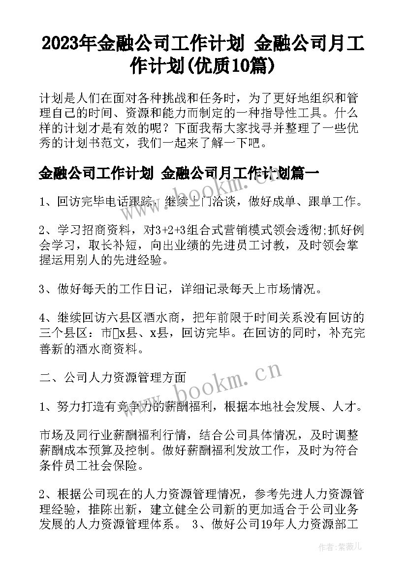 2023年金融公司工作计划 金融公司月工作计划(优质10篇)